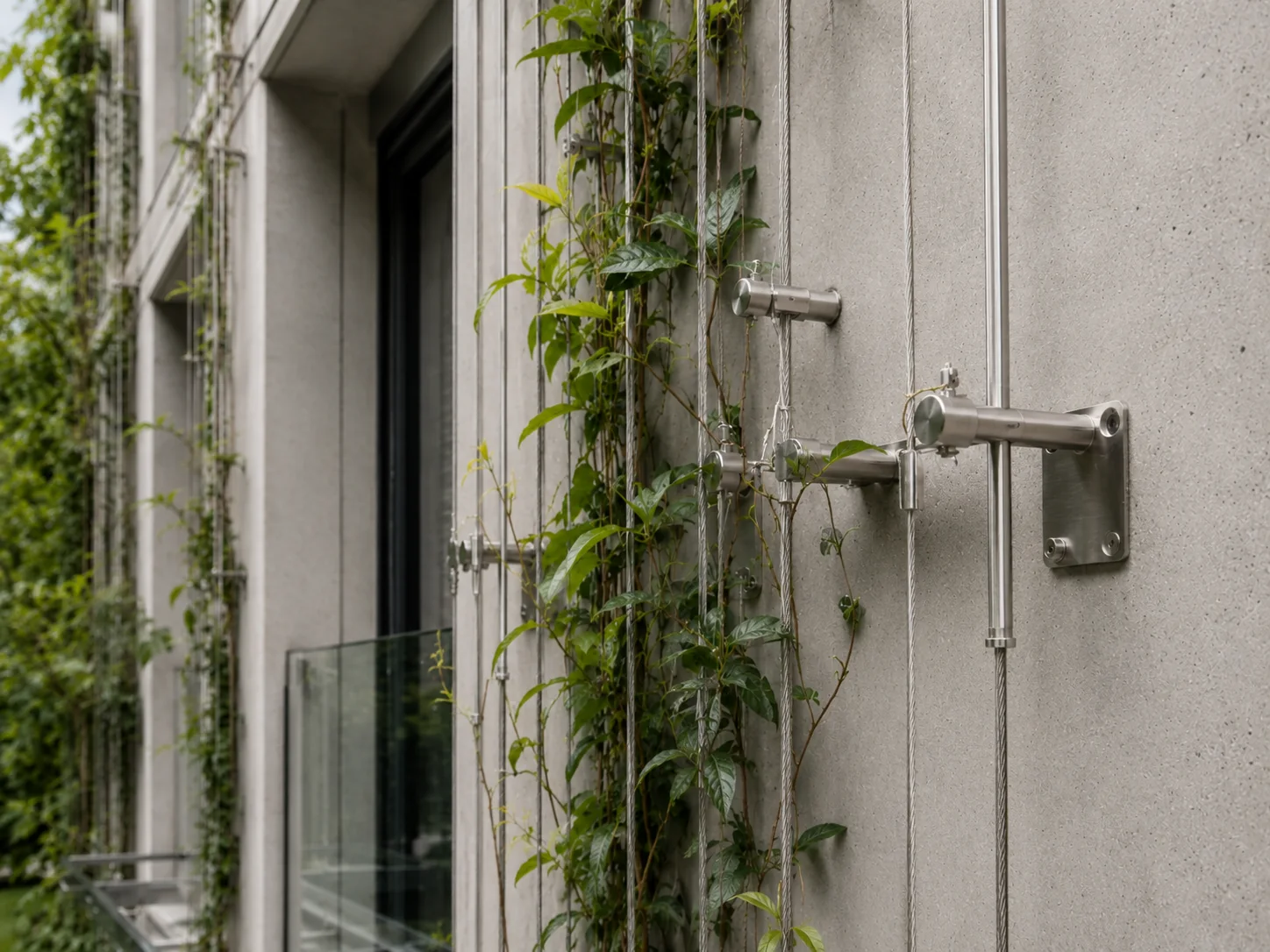 Détail de câbles inox supportant des plantes grimpantes, image d’inspiration